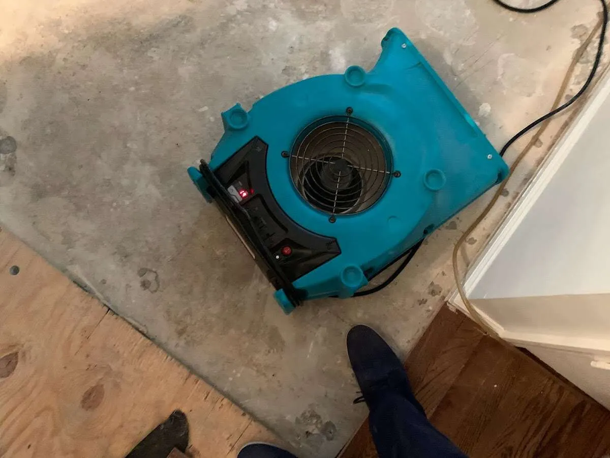 Air mover drying subfloor during Commercial Water Damage Restoration in San Pablo